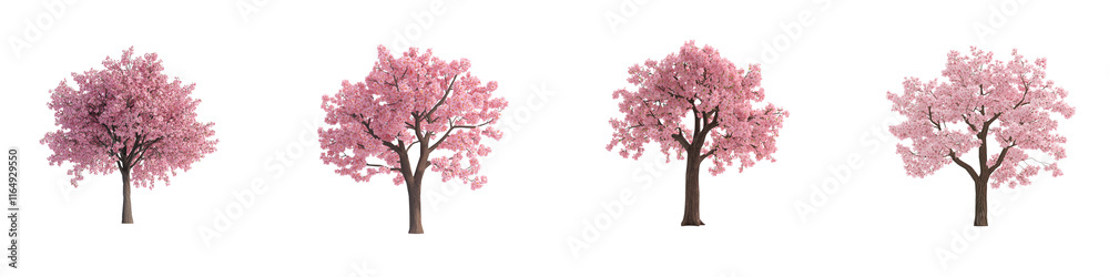 Fototapeta premium A 3D model of a Sakura tree with pink blossoms and a brown trunk, set against a white background.