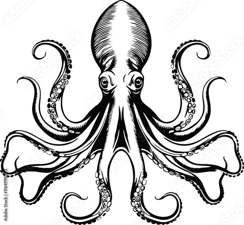 Octopus line vector illustration white background