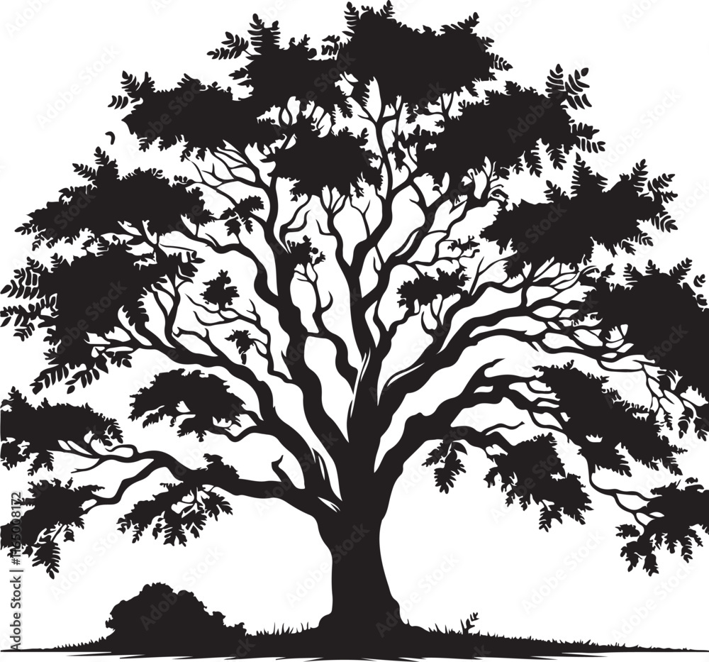 Fototapeta premium silhouettes of trees
