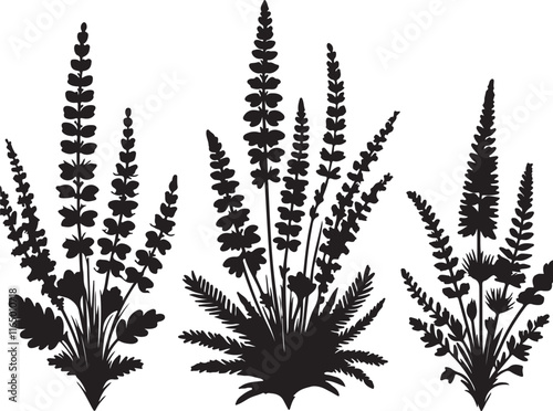silhouettes of plants