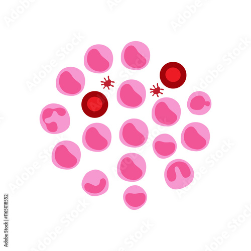 leukocytosis
