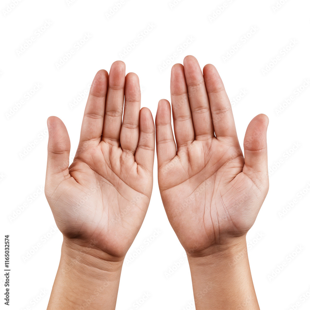 Open hand or male palm isolated on transparent background Open hand or male palm isolated on transparent background