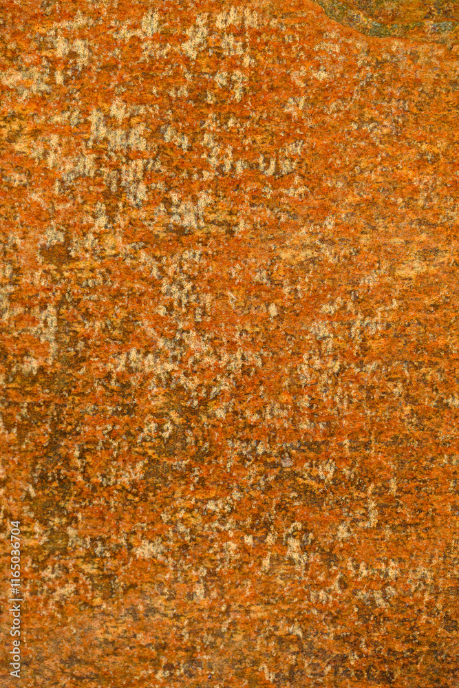 Closeup rust detail in bright orange, as a textured oxidized metal abstract background
Closeup rust detail in bright orange, as a textured oxidized metal abstract background