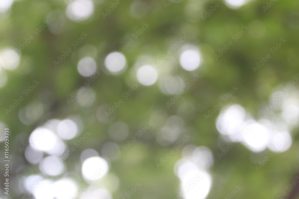 Beautiful bokeh texture background wallpaper Beautiful bokeh texture background wallpaper