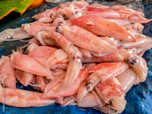 Close up Fresh squid for sale at a traditional market photo