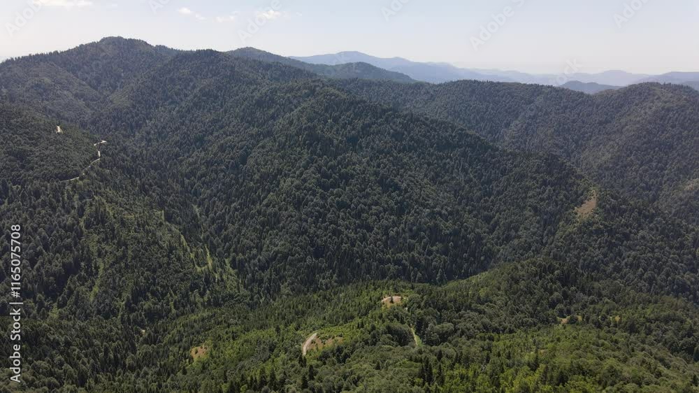 Forest Mountian Natural Aerial View Forest Mountian Natural Aerial View