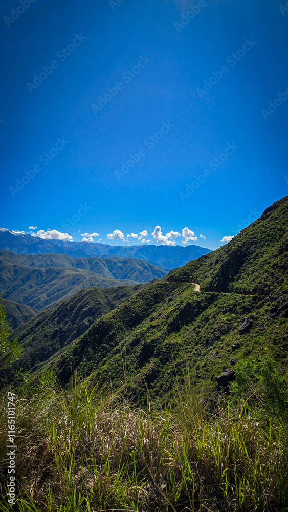 Fototapeta premium Paisaje