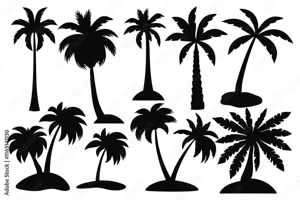Fototapeta premium Various types of palm tree silhouettes set isolated flat vector illustration on white background.