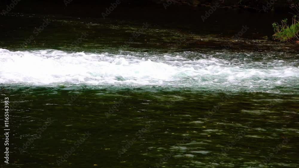 White water in a river with green light surround White water in a river with green light surround