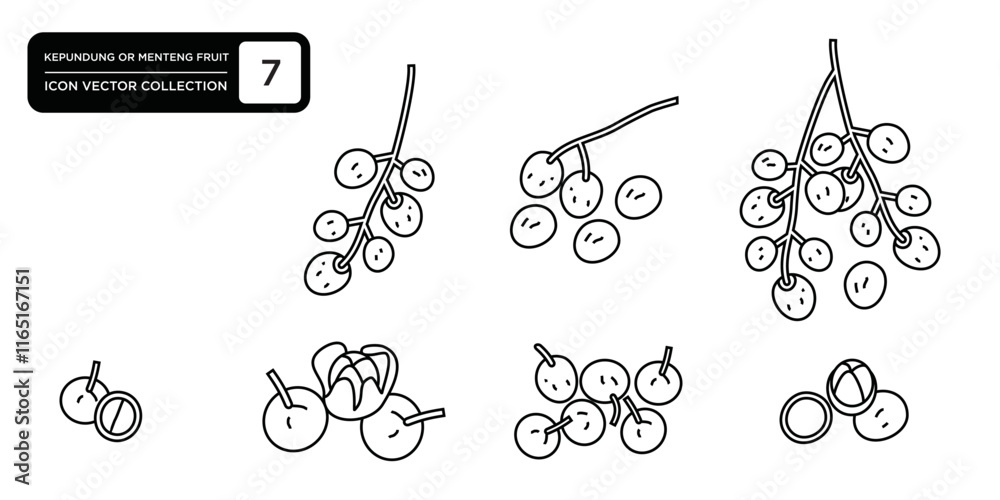 Collection of kepundung or menteng fruit icons, vector icon templates can be edited and resized Collection of kepundung or menteng fruit icons, vector icon templates can be edited and resized