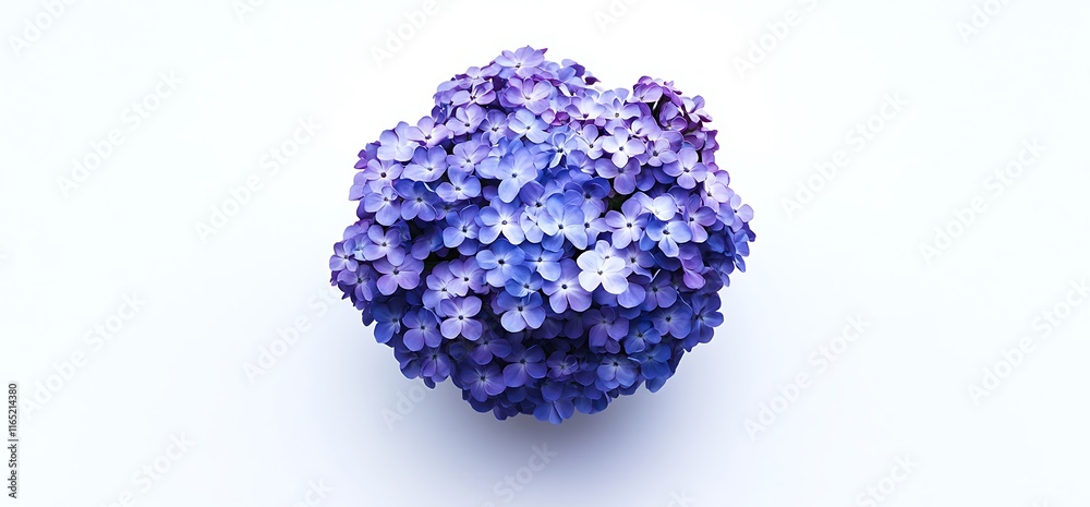 Obraz premium A bunch of small blue violet flowers on a white spring background