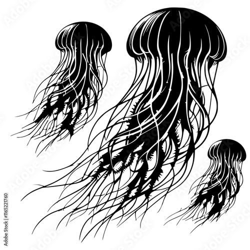 Beautiful jellyfish silhouette