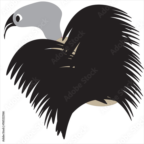 Print, bird, eagle, vector, illustration, head, wild, animal, flying, nature, tattoo, wildlife, hawk, black, design, silhouette, cartoon, animals, logo, wing, falcon, wings, symbol, fly, freedom, feat photo