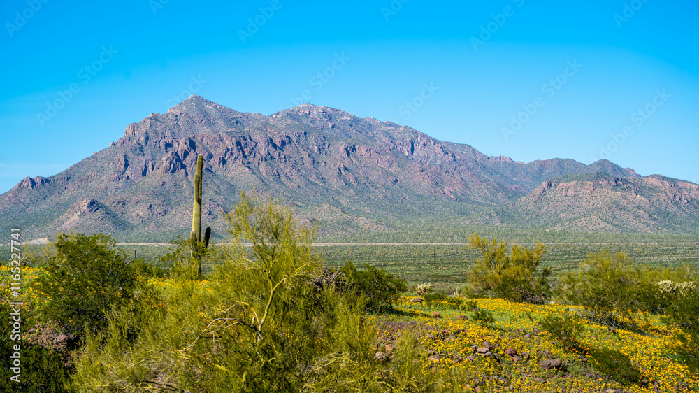 Obraz premium An overlooking view of Picacho Peak SP, Arizona