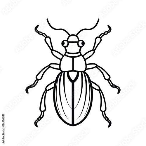 Wallpaper Mural Weevil (Curculionidae) insect design, labeled line art vector illustration. Torontodigital.ca