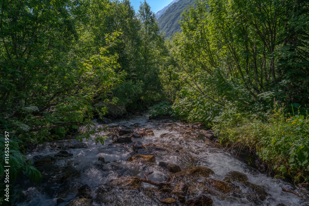 The sources of the Alibek River flowing down from the mountain slopes of the North Caucasus on the territory of the Teberdinsky Reserve on a sunny summer day, Dombai, Karachay-Cherkessia, Russia The sources of the Alibek River flowing down from the mountain slopes of the North Caucasus on the territory of the Teberdinsky Reserve on a sunny summer day, Dombai, Karachay-Cherkessia, Russia