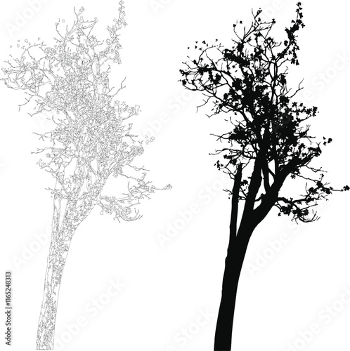 Tree Silhouette and Line Art Illustration on White Background