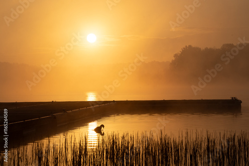 Sunrise Serenity: View of De Plas at Kelchterhoef photo
