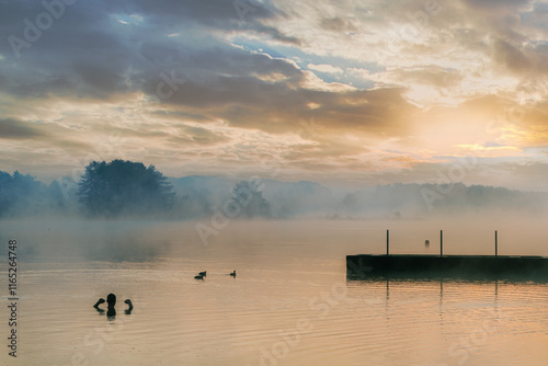Sunrise Serenity: View of De Plas at Kelchterhoef photo