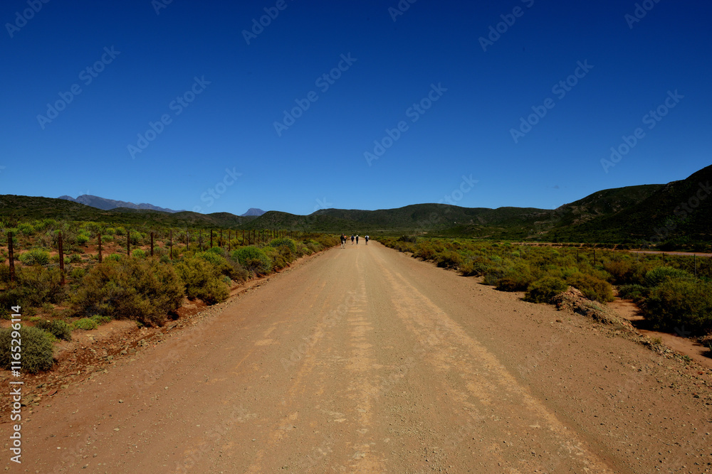 A long straight gravel road through the mountains of the Western Cape in South Africa A long straight gravel road through the mountains of the Western Cape in South Africa