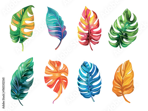 Set of watercolor tropical leaves png. Multicolored tropical leaves of monserrata on isolated background. Watercolor tropical botany.