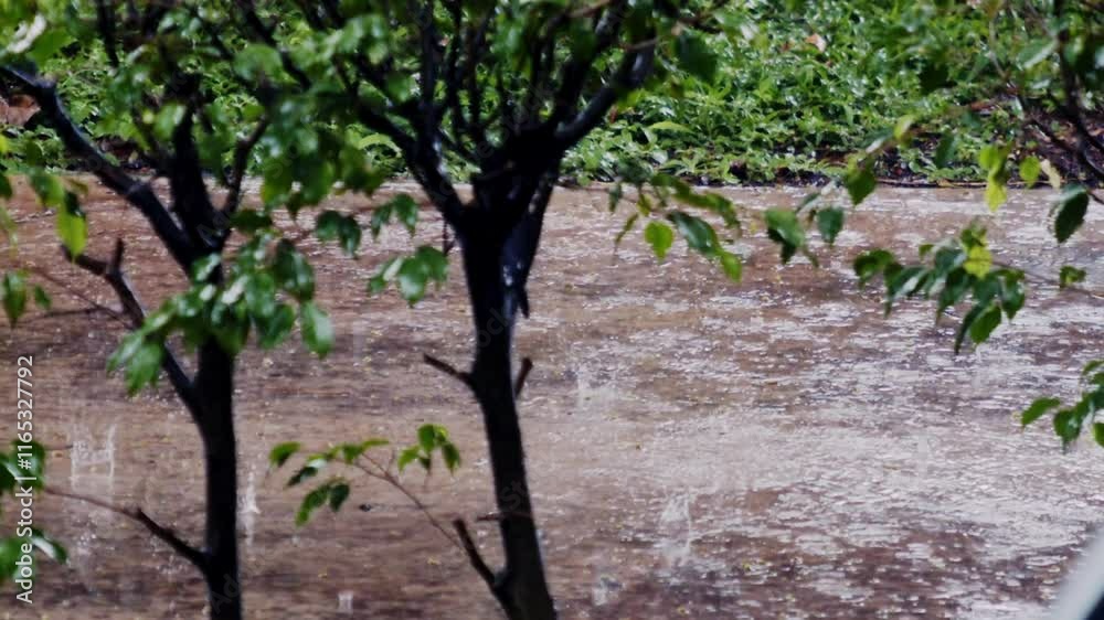 Heavy rain splashes with a crash, dancing droplets, thunderous splash Heavy rain splashes with a crash, dancing droplets, thunderous splash