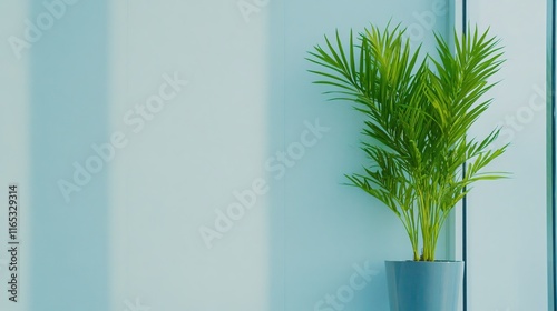 Lush Green Plant in Modern Pot Against Soft Blue Wall in Bright Room