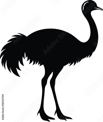 Ostrich silhouette, Ostrich emu bird vector illustration 