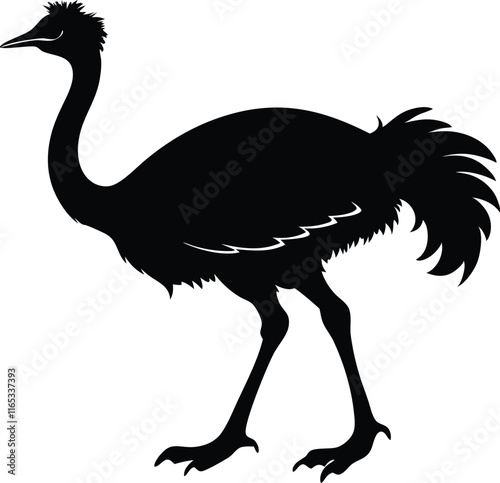 Ostrich silhouette, Ostrich emu bird vector illustration 