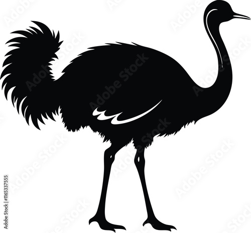 Ostrich silhouette, Ostrich emu bird vector illustration 