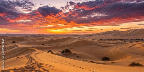 Fototapeta Naklejka Na Ścianę i Meble -  Sunrise in the desert