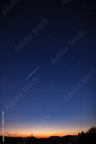 Milky Way stars with meteor shower trails and countryside tree s