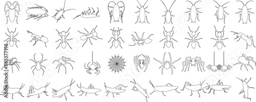 Vector illustration of insects, spiders, ants, crickets, and beetles in a minimal outline style