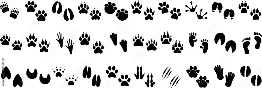 Animal paw prints, footprints, and hoof marks vector set. animal paw print silhouette design of wildlife tracks including birds, reptiles, mammals, and human steps Animal paw prints, footprints, and hoof marks vector set. animal paw print silhouette design of wildlife tracks including birds, reptiles, mammals, and human steps