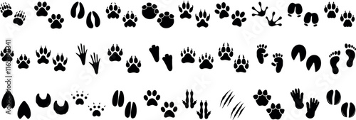 Animal paw prints, footprints, and hoof marks vector set. animal paw print silhouette design of wildlife tracks including birds, reptiles, mammals, and human steps