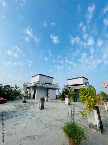 The beautiful house truf with small aesthetic plants and the sky and sunshine combination photo