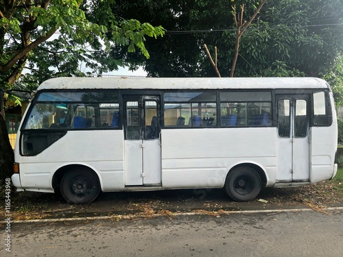 A parked white minibus on a roadside under the shade of a tree. The surrounding area features a quiet street with a simple building in the background, giving a rural or suburban vibe.

