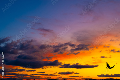 Fototapeta Naklejka Na Ścianę i Meble -  Colorful sunset with a bird in flight against a vibrant sky