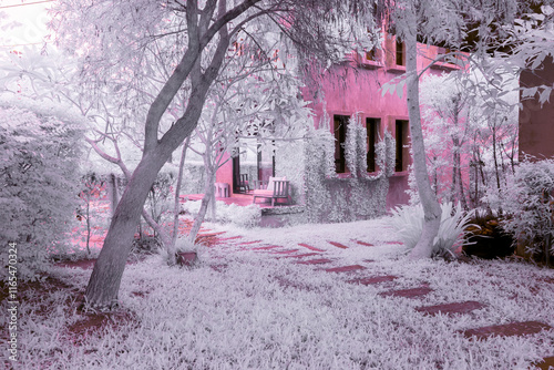 Infrared photography, a garden or yard scene with a pathway leading up to a building photo