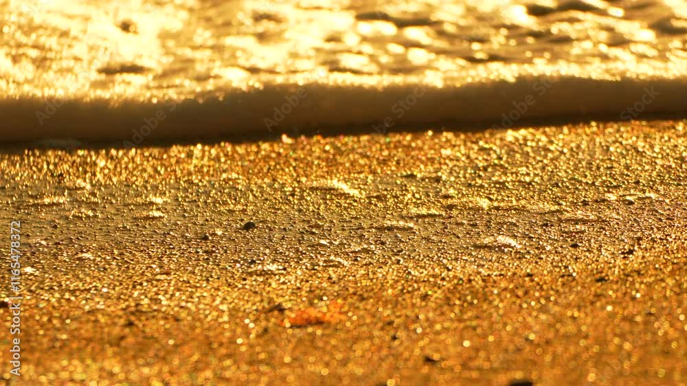Beach Sand Waves Golden Sunset Close-up of glistening sand with receding waves reflecting the golden sunset light on a beach.