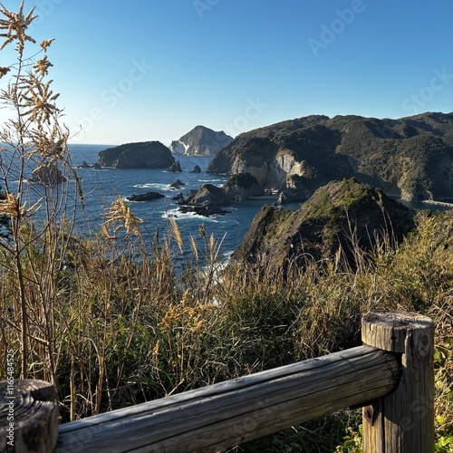 Izu peninsula 