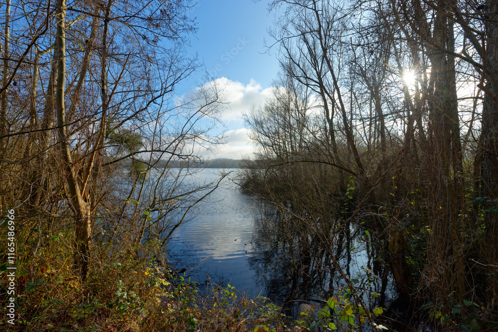 Pond in the Sorques plain sensitive natural area. French Gâtinais Regional Nature Park Pond in the Sorques plain sensitive natural area. French Gâtinais Regional Nature Park