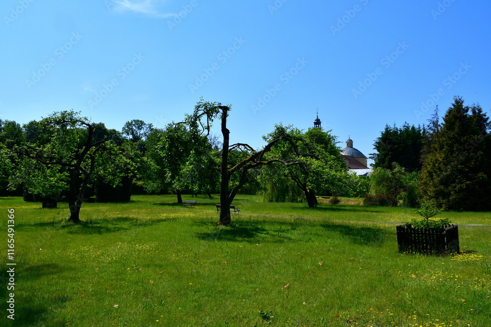 A view of a beautiful, well-maintained garden full of decorative trees, shrubs, benches, old red brick walls, herbs, rocky paths and having a small pond with Lilly pads and reeds in the very center A view of a beautiful, well-maintained garden full of decorative trees, shrubs, benches, old red brick walls, herbs, rocky paths and having a small pond with Lilly pads and reeds in the very center