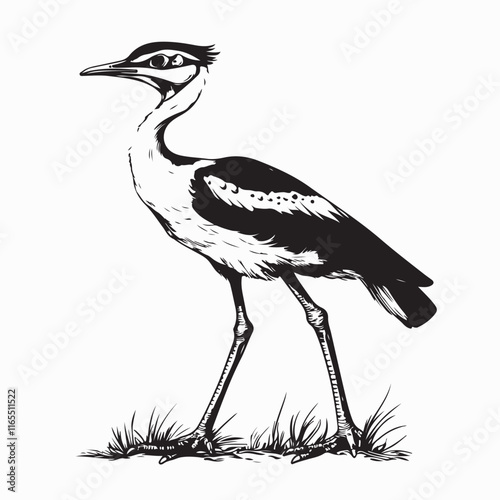 Standing Kori Bustard Bird image vector. Black and white Kori Bustard Bird image isolated on white background. photo