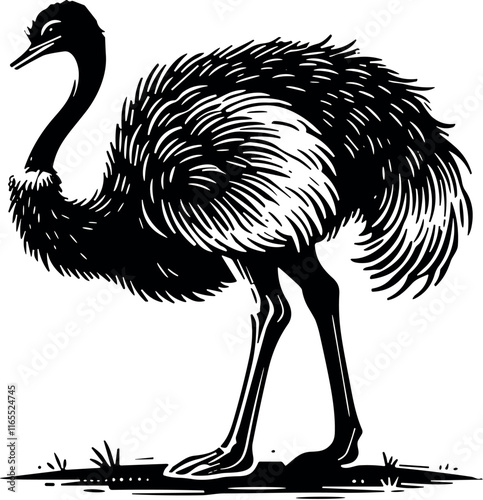 Ostrich vector black silhouette cricut design for T-shirt photo