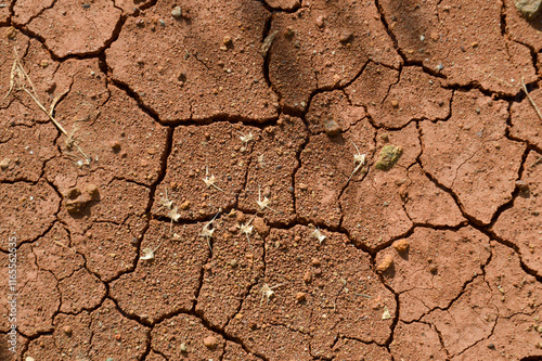 dry cracked earth