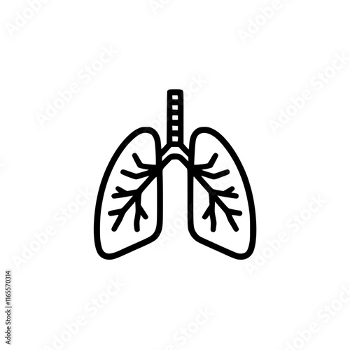 Line art illustration of human lungs, showcasing the bronchial network within each lung.  A simple, clean design ideal for medical or health-related content.