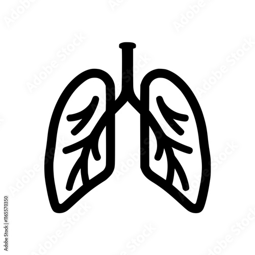 A simple line art illustration depicting the human lungs, showcasing their anatomical structure with bronchi and alveoli.  Ideal for medical, health, and educational contexts.