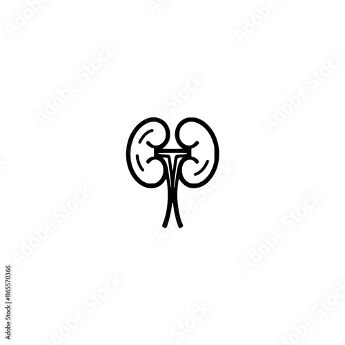 Line art illustration of a pair of kidneys, a vital organ in the human urinary system.  This simple, clean design is perfect for medical educational materials or health-related content.