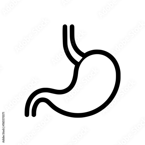 Human stomach illustration.  A simple line drawing of the stomach's anatomy, ideal for medical, educational, or health-related materials.